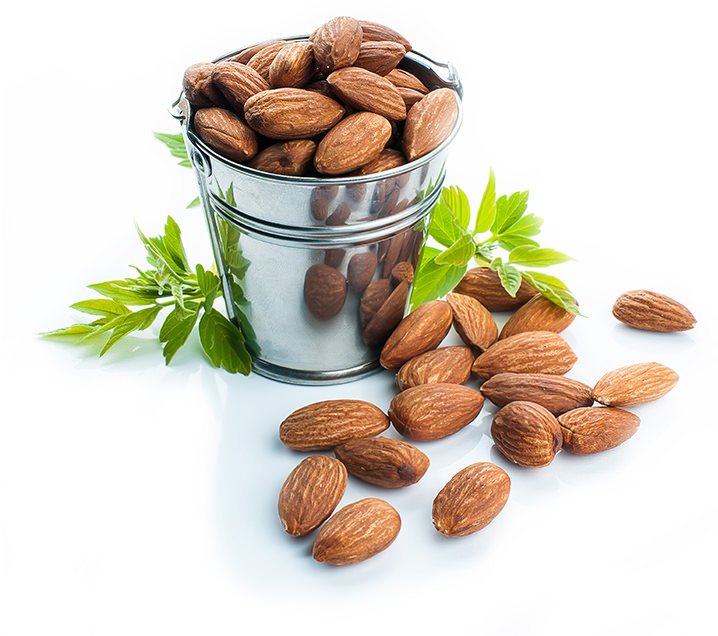 Bucket of Nuts Bucket of Nuts